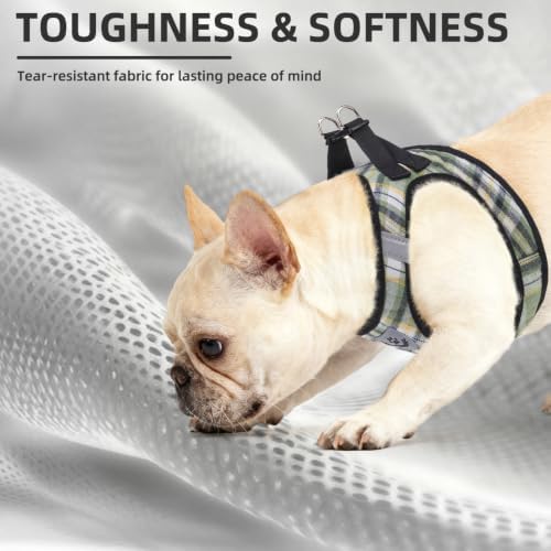 PUPTECK Dog Harness, Collar and Leash Set No Pull - Image 6