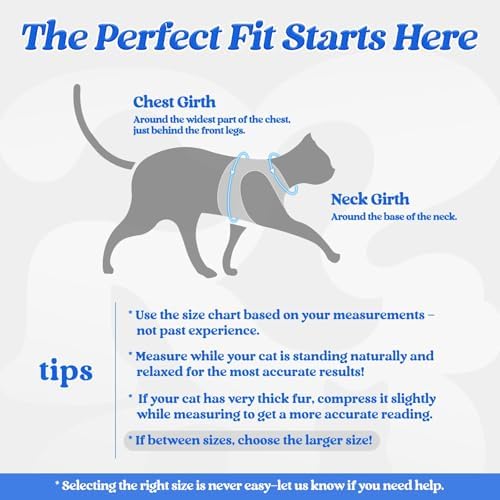 rabbitgoo Cat Harness and Leash Set, Step-in Soft Vest - Image 2