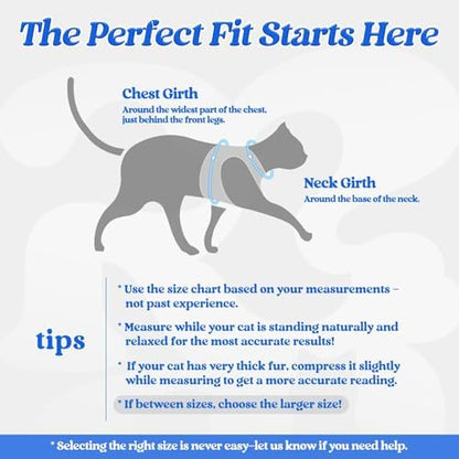 rabbitgoo Cat Harness and Leash Set, Step-in Soft Vest - Image 2