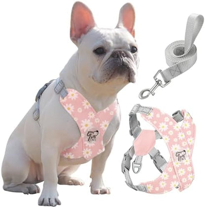 Pawaboo Small Dog Harness and Leash Set, Puppy Harness X-Frame Adjustable by Pawaboo