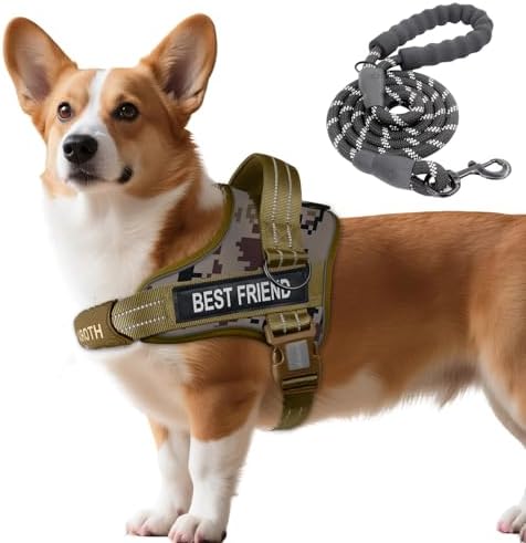 AUROTH Dog Harness and Leash Set Small Sized Dog, No Pull Escape Proof Vest by AurothPets