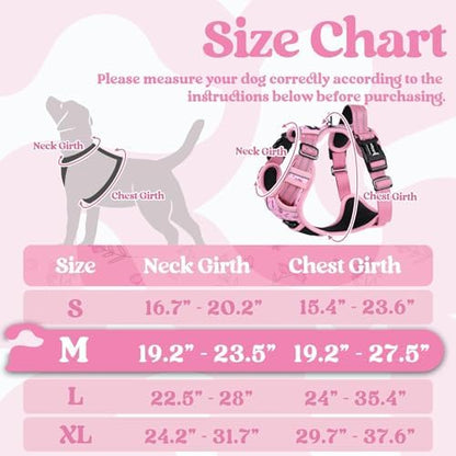 rabbitgoo Dog Harness Medium Sized, Updated Easy On & Off - Image 2
