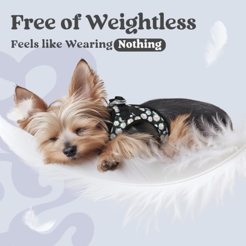 rabbitgoo Step-in Small Dog Harness, Puppy Vest - Image 4