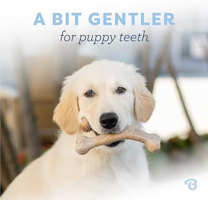 Benebone Puppy Wishbone Dog Chew Toy - Image 2
