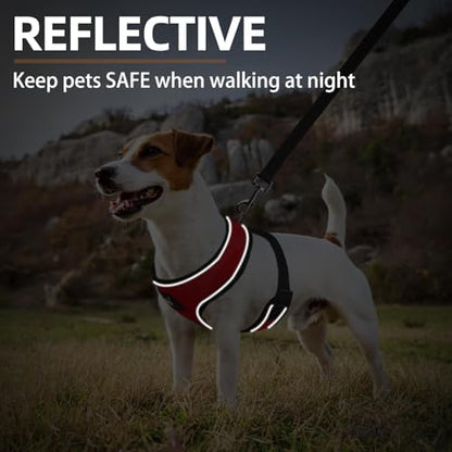 PUPTECK Small Dog Harness and Leash Set No Pull - Image 6