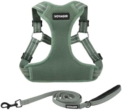 Best Pet Supplies Voyager Adjustable Step-in Flex Breathable Mesh Dog Harness by BestPetSuppliesLLC