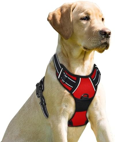 BARKBAY Dog Harness No Pull for Small Sized Dog Front Back Clips, Dog Vest by BARKBAY