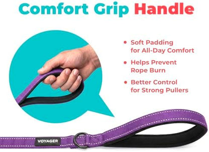 Best Pet Supplies Voyager Nylon Dog Leash - Image 5