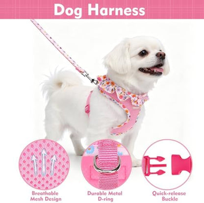 EXPAWLORER Step-in Dog Harness Small Sized and Leash Set - Image 3