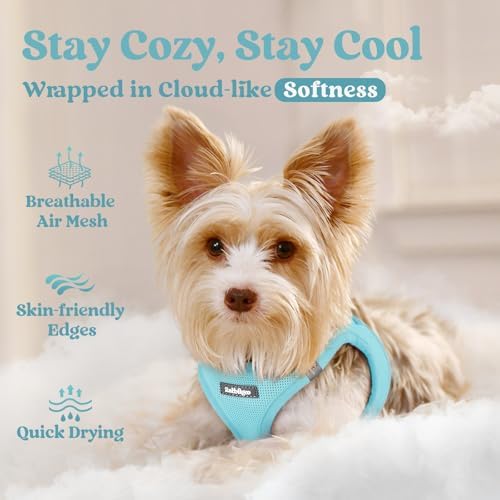 rabbitgoo Step-in Small Dog Harness, Puppy Vest - Image 3