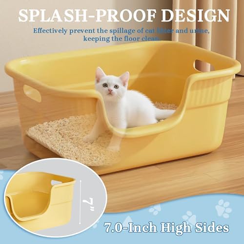 Low Entry Kitty Litter Box for Small Cats, Kittens Litter Boxes - Image 4