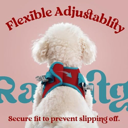 rabbitgoo Dog Harness Small Sized and Leash Set, Step in Soft Vest - Image 5