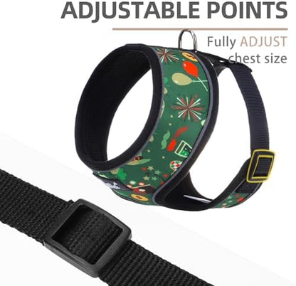 PUPTECK Small Dog Harness and Leash Set No Pull - Image 3