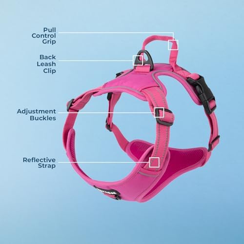 Voyager Dual Attachment No Pull Harness - Image 3