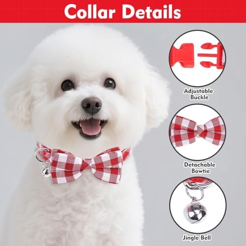 EXPAWLORER Step-in Dog Harness Small Sized Collar and Leash Set - Image 4