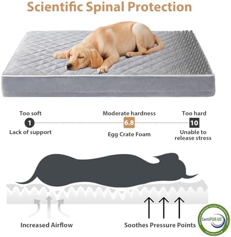 WNPETHOME Orthopedic Waterproof Large Dog Bed - Image 3