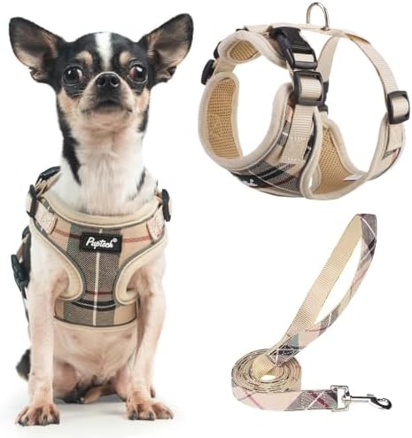 PUPTECK Small Dog Harness and Leash Set No Pull by PUPTECK
