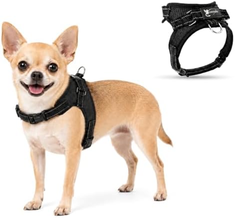 Dog Harness Small Sized Dogs by Copatchy