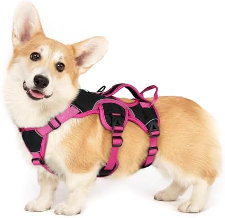 rabbitgoo Escape Proof Dog Harness by rabbitgoo