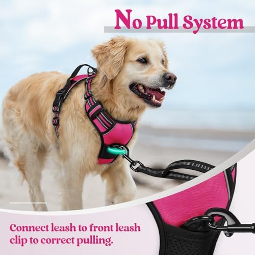 rabbitgoo Dog Harness, No Pull for Small Dogs - Image 5