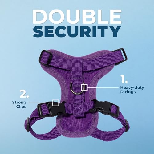 Voyager Step-in Lock Cat Harness & Leash Set - Image 2