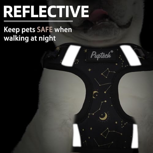PUPTECK Dog Harness and Leash Set Medium Sized, Step in No Pull Adjustable - Image 4