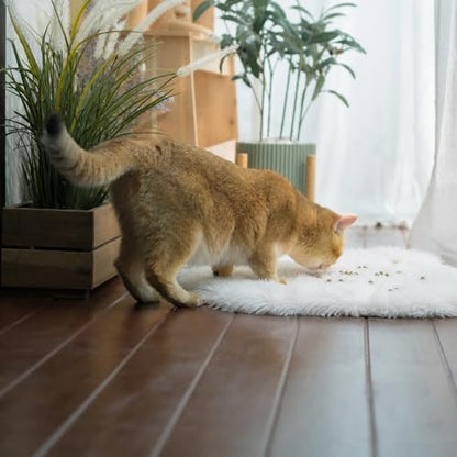 Fluffy Cat Bed Mat 19.6"x31.4" Furry Small Dog Cats Cushions - Image 2