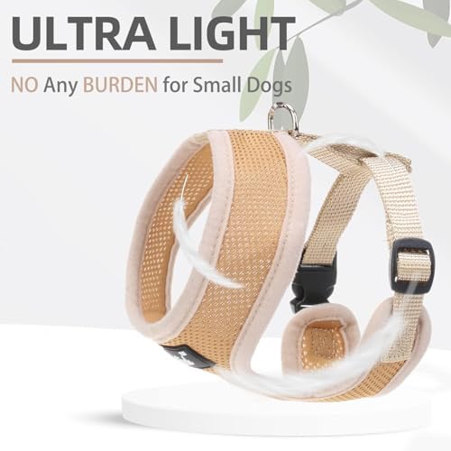 PUPTECK Small Dog Harness and Leash Set No Pull - Image 5