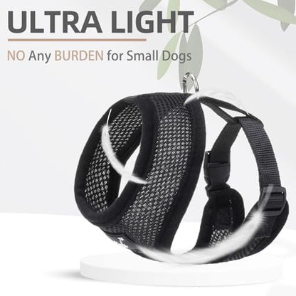 PUPTECK Small Dog Harness and Leash Set No Pull - Image 5