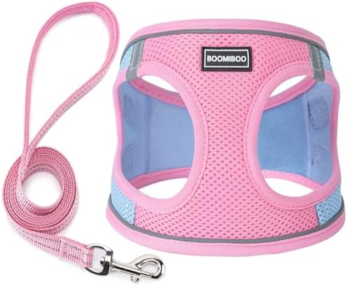 Dog Harness with Leash Set, Step-in Adjustable Puppy Vest by BOOMIBOO