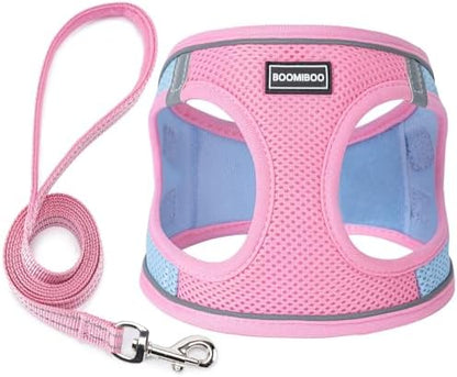 Dog Harness with Leash Set, Step-in Adjustable Puppy Vest by BOOMIBOO