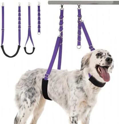 Dog Grooming Belly Strap by DISCPETSEC
