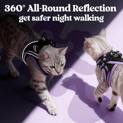 rabbitgoo Cat Harness and Leash Set, Step-in Soft Vest - Image 5
