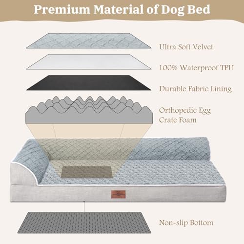 Comfort Expression Orthopedic Dog Bed - Image 3