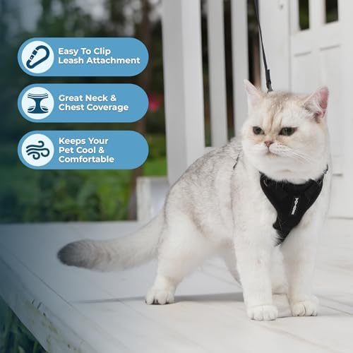 Voyager Step-in Lock Cat Harness & Leash Set - Image 5