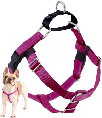 2 Hounds Design Freedom No Pull Dog Harness, 1 inch XL by 2HoundsDesign