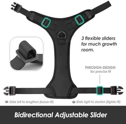 Sunraymascota No Pull Dog Harness - Image 5