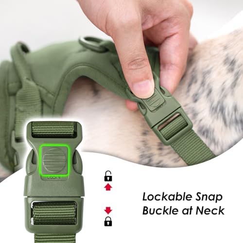 Sunraymascota No Pull Dog Harness - Image 2
