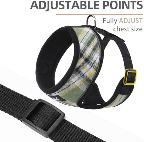 PUPTECK Small Dog Harness and Leash Set No Pull - Image 2