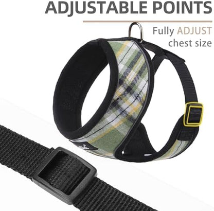 PUPTECK Small Dog Harness and Leash Set No Pull - Image 2