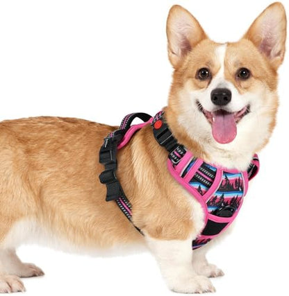 rabbitgoo Dog Harness Small Sized, Updated Easy On & Off by rabbitgoo