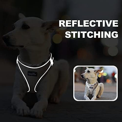 haapaw Dog Harness with Leash Set, No Pull Adjustable Reflective Step-in Puppy - Image 5