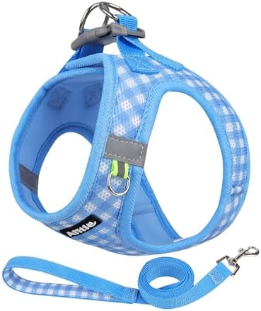 AIITLE Step in Medium Dog Harness and Leash Set, Puppy Pet Vest by AIITLE-FORPETSBETTERLIFE
