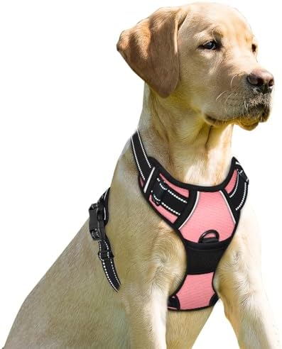 BARKBAY Dog Harness No Pull for Small Sized Dog Front Back Clips, Dog Vest by BARKBAY