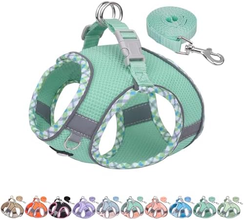 AIITLE XXS Dog Harness & Leash Set by AIITLE-FORPETSBETTERLIFE