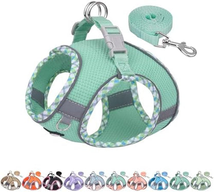 AIITLE XXS Dog Harness & Leash Set by AIITLE-FORPETSBETTERLIFE