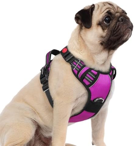 rabbitgoo Dog Harness Small Sized, No Pull 3 Buckles Easy On & Off by rabbitgoo