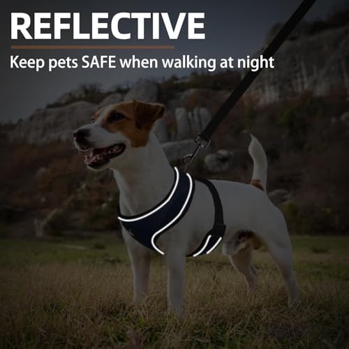 PUPTECK Small Dog Harness and Leash Set No Pull - Image 6