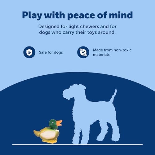 PetSafe Animal Squeak Dog Toy - Image 6