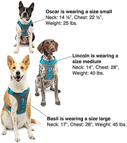 Kurgo Journey Air Dog Harness, Extra Small - Image 5